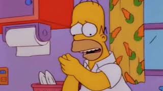 Simpsons Use Hasty Generalization