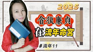 2025年 乙巳年 流年11 流年命宮廉貞貪狼 靈機靈姬學院-紫微斗數-找到自己此生使命Zi Wei Dou Shu is a branch of Chinese Astrology.