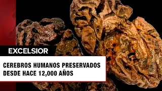 Descubren cerebros de humanos preservados desde hace 12 mil años