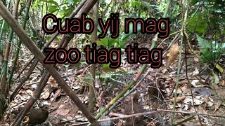 yos hav zoov cuab yij mag zoo tiag tiag part 03