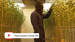 Трансляция номер 159