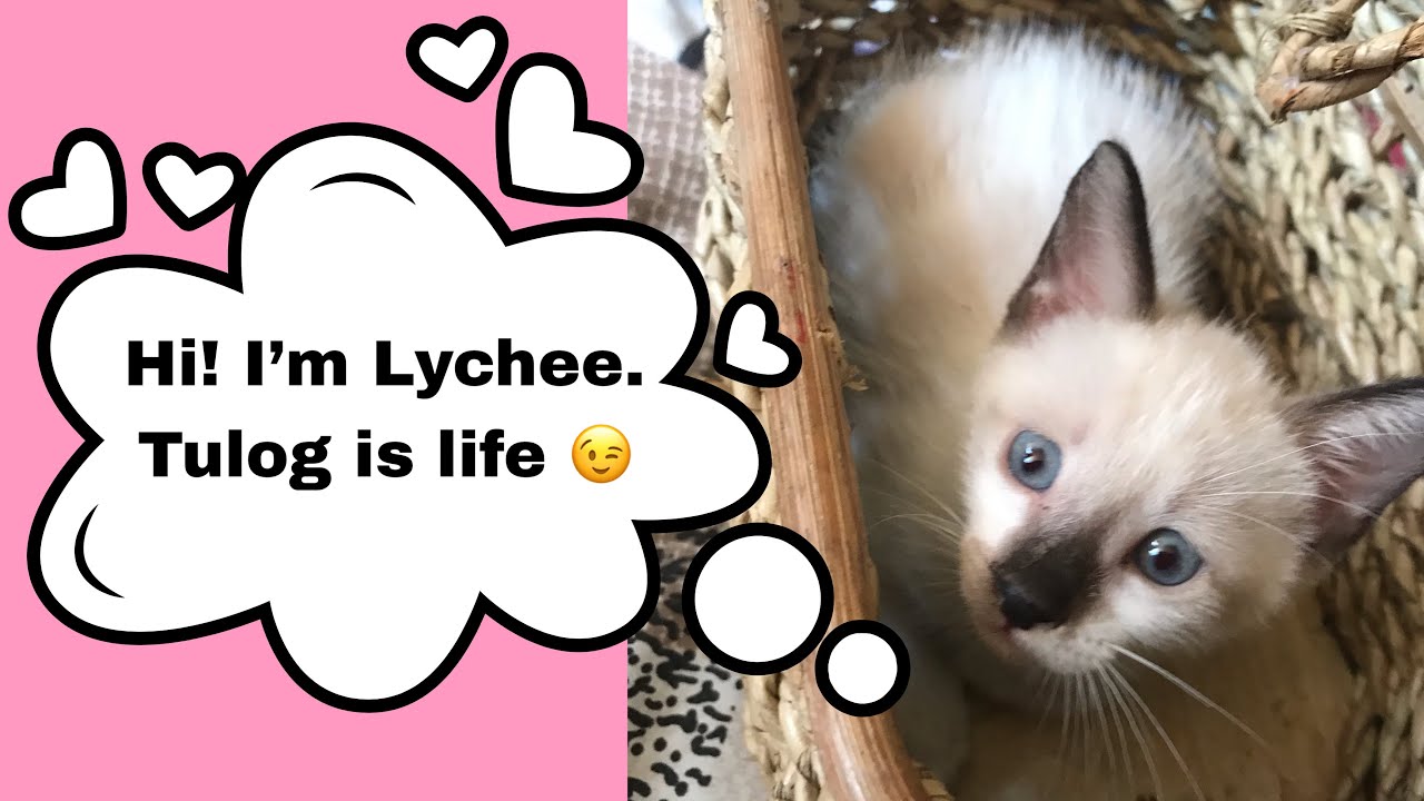 Tulog Is Life Sleeping Positions Youtube