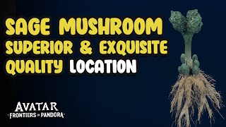 Sage Mushroom Superior or Exquisite Location | Avatar Frontiers of Pandora