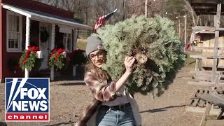 Watch Kat Timpf Cuts Down A Christmas Tree