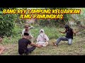 BANG REY LAMPUNG NGAMUKK