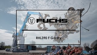 Fuchs RHL390 F Gantry