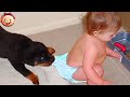 BABY & PET - Cute and Funny Compilation || Just Laugh