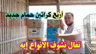 4 كراتين حمام وصلوا عن طريق الشحن متع عيونك