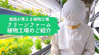 クリーンファーム 植物工場のご紹介【エディブルフラワー】