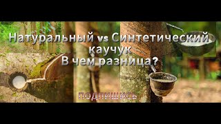 Натуральный vs Синтетический каучук: В чем разница?