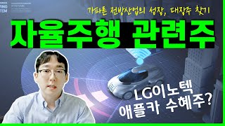 자율주행 관련주 '대장주'로 승부봐야 | 애플카 납품은 누가할까