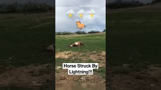 Horse Struck By Lightning - RJF