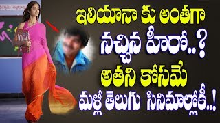 మళ్లీ రీఎంట్రీ ఇవ్వనున్న ఇలియానా | ఆ హీరోని టార్గెట్ చేసింది | Ileana Re entry in Telugu Movies