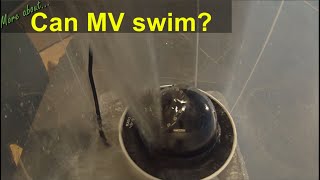 Can MV72 swim?