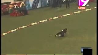 Paul Stirling 50(29) Vs Barisal Burners BPL 2013