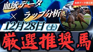 【競馬予想】12月28日（土）厳選勝負レース推奨馬大公開！血統傾向データとラップ分析で徹底予想！1#ホープフルステークス