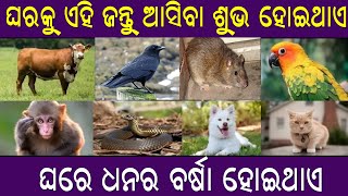 ଘରକୁ ଏହି ଜୀବ ଜନ୍ତୁ ଆସିବା ବହୁତ ଶୁଭ ହୋଇଥାଏ,ଜୀବନରେ ଧନର ଅଭାବ ହୁଏ ନାହିଁ // Odia Baya Gita