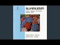 Mörike Lieder, Book 2 (Excerpts) : No. 21, Auf eine Christblume II