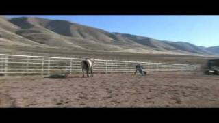 ReRun The Roping Calf