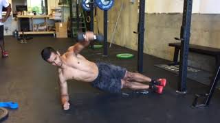 Side Plank Dumbbell Powell Raise