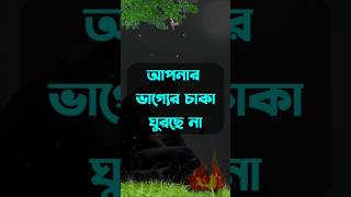 আপনার ভাগ্যের চাকা ঘুরছে না কারণ আপনি প্রতিনিয়ত ভুল life advice #banglaquotes