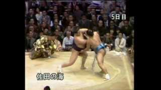 Chiyonofuji vs. Sadanoumi : Kyushu 1981 (千代の富士 対 佐田の海)