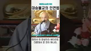 대승불교의 인연법 연기법 #청화스님