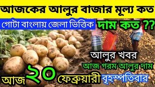 আলুর বর্তমান পরিস্থিতি I Current Situation of Potatos in Bengal  Indian Potato News 15/02/25