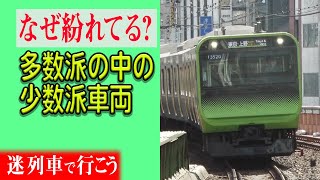 【厳選5選】製造時からの少数派は、多数派の中にも紛れている？多数派形式の中に紛れる少数派の車両5選【迷列車で行こう】#128