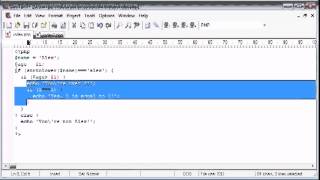 Beginner PHP Tutorial 8 Indentation flv