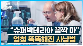 [헬스인사이드] “슈퍼박테리아 꼼짝 마” 엄청 똑똑해진 사냥법 / 머니투데이방송