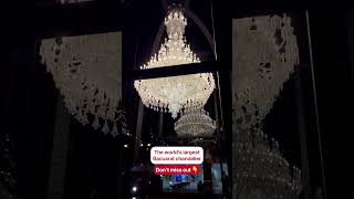 The LARGEST Baccarat chandelier in the world! ✨ You HAVE to see this!