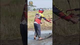 Kang Fiat bajak sawah di lahan datar jauh dari perkampungan #automobile #traktorbajaksawah #farming