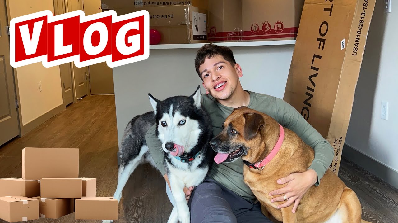 Moving Into My Apartment Youtube Moving Into My Apartment Youtube