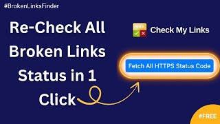 Feature to re-check real status of all Broken Links in one click | Best Pugin to find Broken Links