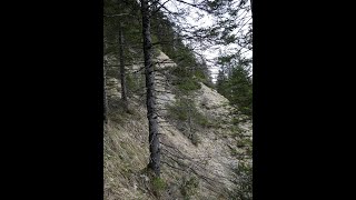 Les Hauts du Vallon de Noirvaux (VD et NE) - Une balade courte mais intense à la montée