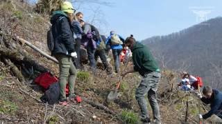 Pošumljavanje Parka prirode Medvednica 2016