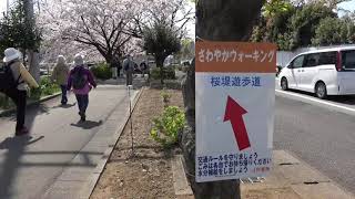 JR東海｢さわやかウォーキング｣　裾野駅　2019/04/06