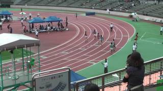 H29　個人選手権　男子110mH　準決勝2組