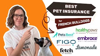 Best Pet Insurance For French Bulldogs: Our Expert's Top Picks & Review