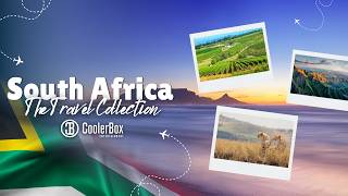 The Travel Collection, South Africa Travel Guide | Cape Town, Safari & The Ultimate Adventure