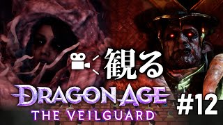 【ドラゴンエイジ: ヴェイルの守護者】ストーリー観賞用#12（END）　#dragonagetheveilguard