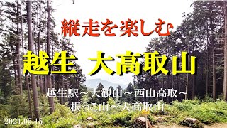 【登山】気軽に縦走を楽しめる低山 大高取山(^-^)ピーク手前は根っこの急勾配！(埼玉県 越生市)