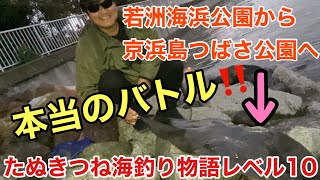 【初心者海釣り】初心者たぬきつねが若洲海浜公園そして京浜島つばさ公園へ！若洲海浜公園/京浜島つばさ公園/釣り/海釣り/ルアー/シロギス/エイ