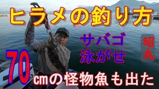 サバゴを使ったヒラメの泳がせ釣りをレクチャー。怪魚との勝負はどちらに軍配が上がるのか！？【かかり釣り】