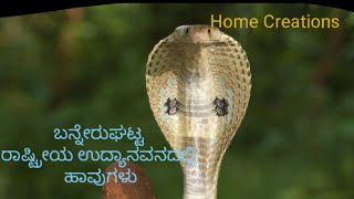 Snakes at Bannerghatta|ಬನ್ನೇರುಘಟ್ಟ ರಾಷ್ಟ್ರೀಯ ಉದ್ಯಾನವನ