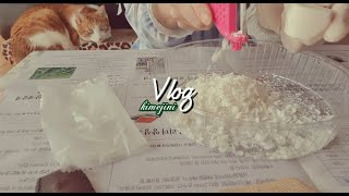 °vlog#25° 처치곤란 🧼비누활용하고, 신랑 가을 꼬까옷 👔구비한 주부 브이로그  (원팬토스트,옥수수,김치나베 feat.광합성노랭이😻)