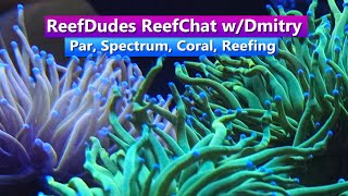 ReefDudes ReefChat w/Dmitry - Par, Spectrum, Coral, Reefing