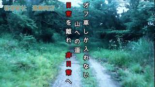 【せな散歩】千葉県林道 鬼泪林道 新しい林道発見!!ド素人でも楽しめる林道