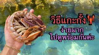 วิธีแกะกั้ง ให้เนื้อสวยน่าทาน ไม่เละ จะง่ายแค่ไหนไปดูกันค่ะ🦞🎉